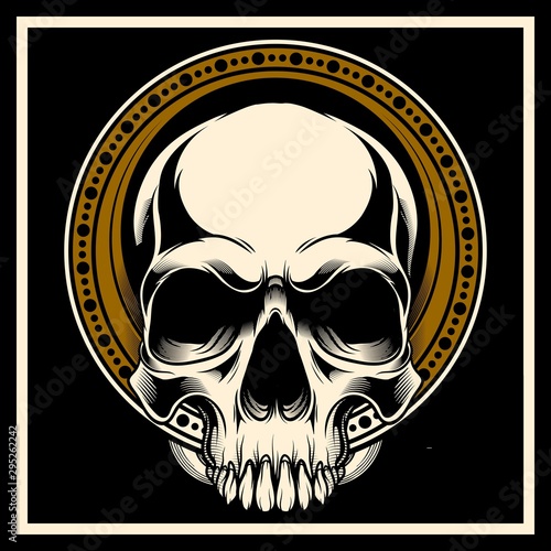 head skull hand drawing vector
