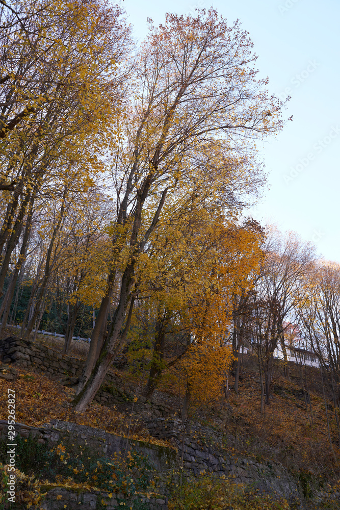 Fototapeta premium Pennsylvania