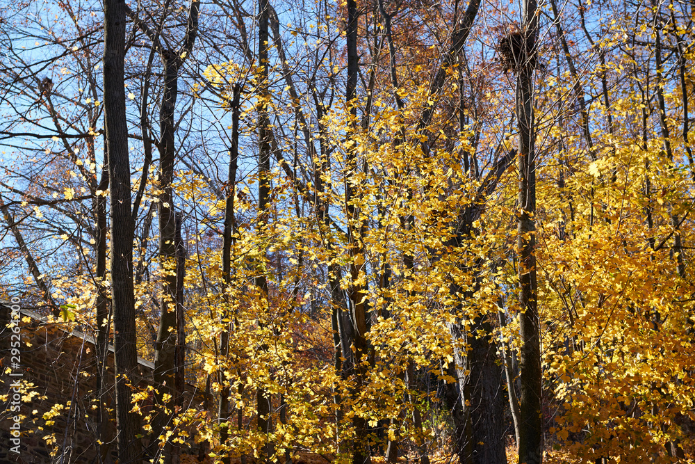 Fototapeta premium Pennsylvania