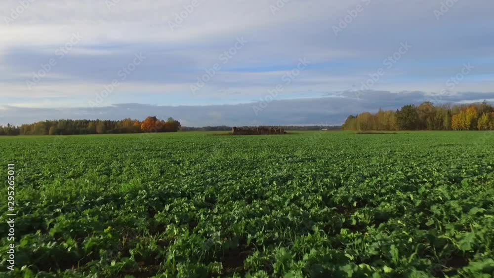Aerial: Ruins Of The Collapsed Clay Building In A Green Agricultural Field. Low Dolly-Out Footage Aerial: Ruins Of The Collapsed Clay Building In A Green Agricultural Field. Low Dolly-Out Footage