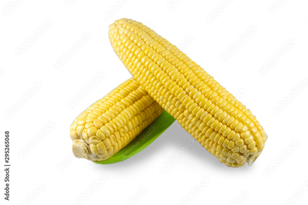 Sweet corn is most popular. High in sweetness and low in fat By boiling or roasting. Sweet corn is most popular. High in sweetness and low in fat By boiling or roasting.
