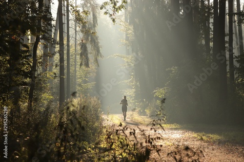 A man running across a forest trail on a foggy autumn morning