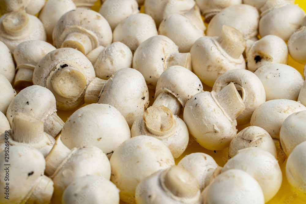 Tasty mushrooms on a wooden table. Mushrooms in the kitchen on a chopping board. Light background. Tasty mushrooms on a wooden table. Mushrooms in the kitchen on a chopping board. Light background.