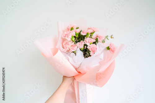 Woman hand hold pink carnation on white background.