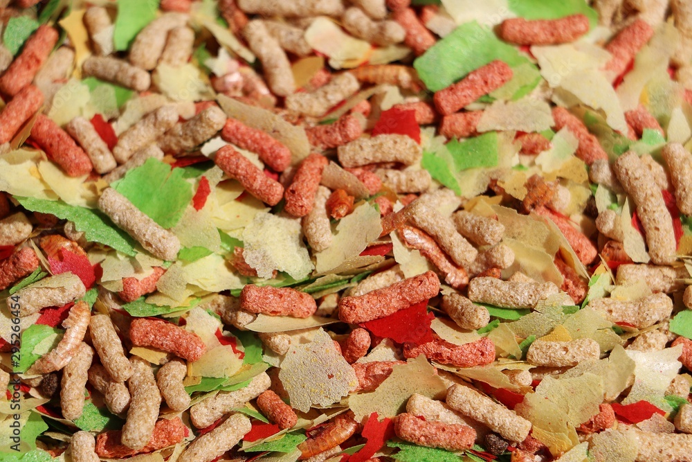 extreme close up of colorful fish feed extreme close up of colorful fish feed