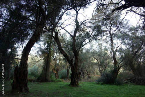 Corfu Trail, Greece