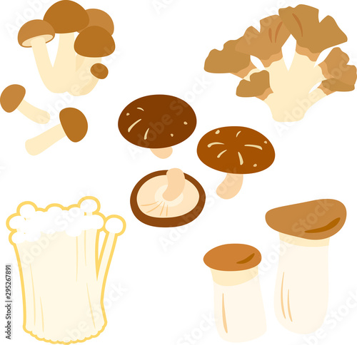 食用のキノコのイラストセット