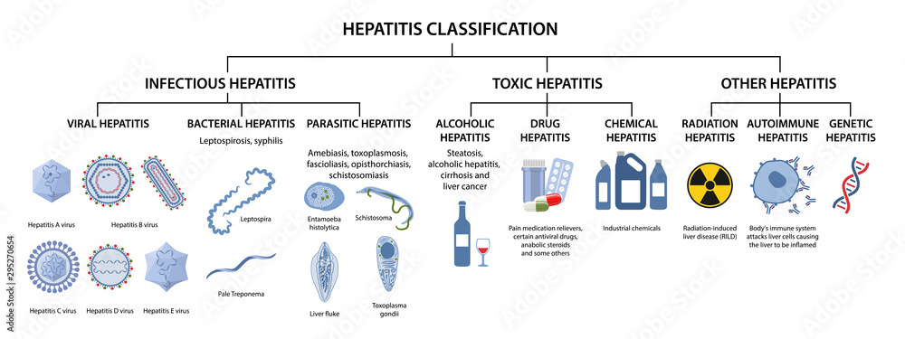 Hepatitis classification. Types of hepatitis: infectious, viral, bacterial, parasitic, toxic, alcoholic, drug,  autoimmune, radiation hepatitis. Vector illustration in flat style over white background - obrazy, fototapety, plakaty 