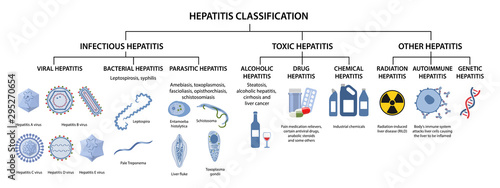 Hepatitis classification. Types of hepatitis: infectious, viral, bacterial, parasitic, toxic, alcoholic, drug,  autoimmune, radiation hepatitis. Vector illustration in flat style over white background photo