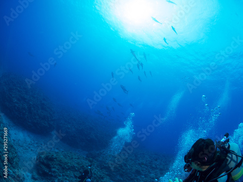 Wallpaper Mural 沖縄_粟国島_スキューバダイビング Torontodigital.ca