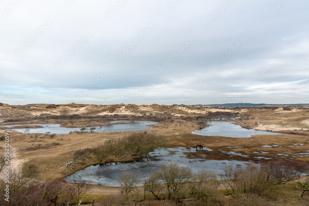 Panoramic view on a dunevalley with ponds and a wild horse