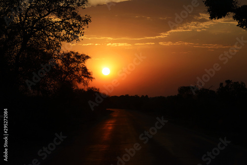 Sunset  Kruger National Park  South Africa