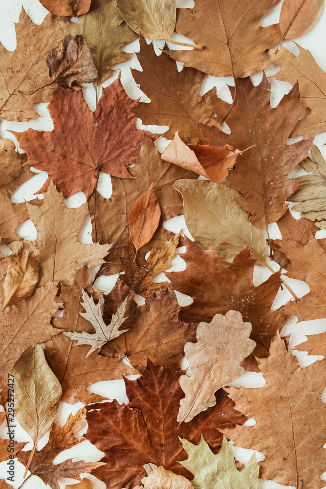 Autumn, fall composition. Beautiful background of brown, orange, beige dried leaves. Creative autumn pattern. Flat lay, top view. Autumn, fall composition. Beautiful background of brown, orange, beige dried leaves. Creative autumn pattern. Flat lay, top view.