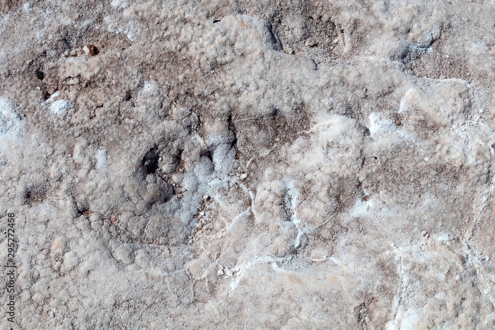 Naklejka premium Salt crystals on the salty surface of desert close up. Natural background with copy space