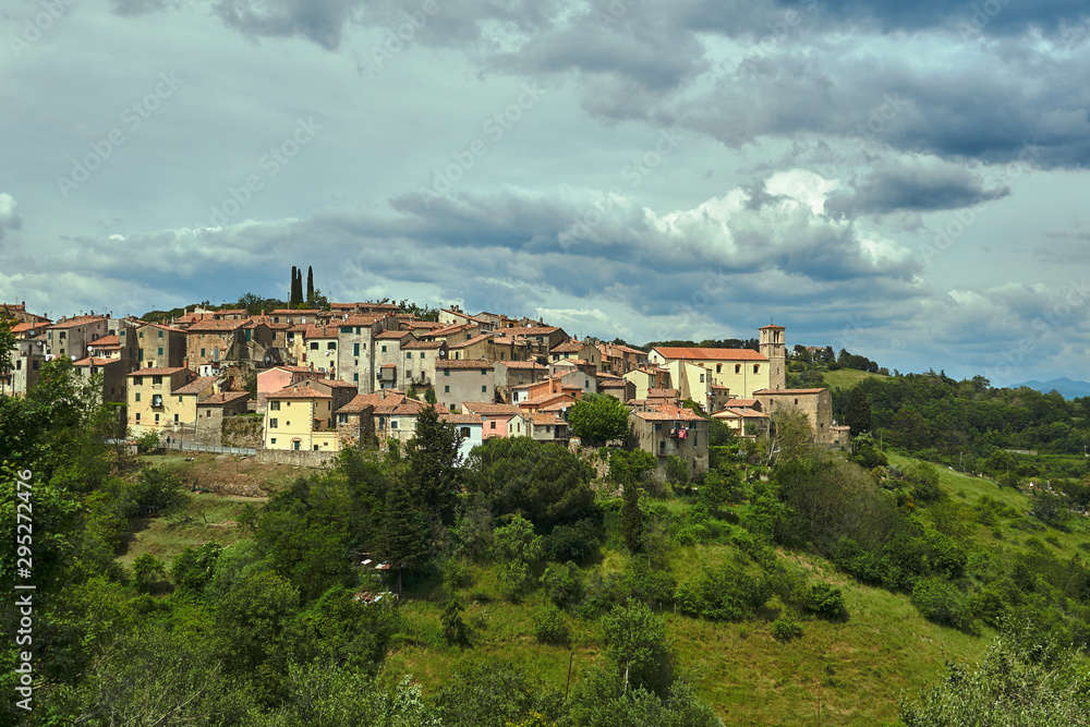 View of the hill with houses and the bell tower of the city of Scansano in Tuscany.