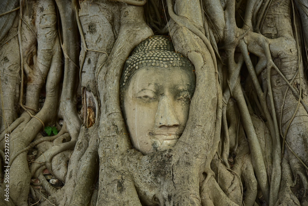 Buddha head in Bodhi tree, Ayutthaya province Buddha head in Bodhi tree, Ayutthaya province