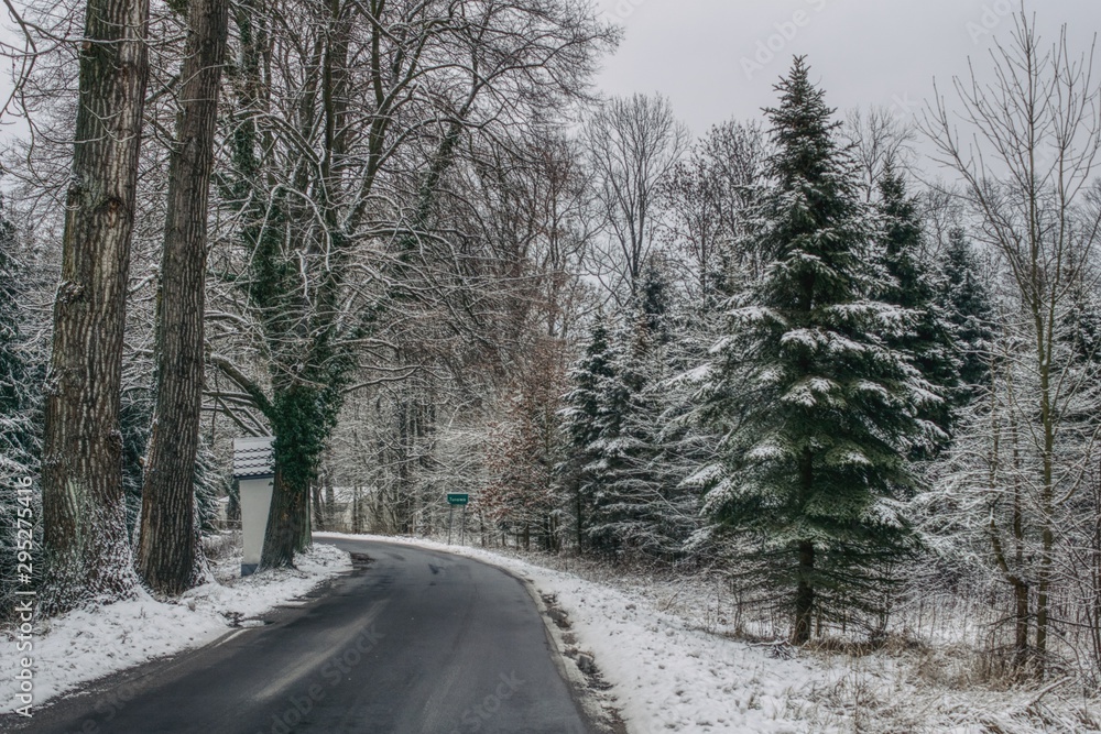 Niebezpieczeństwo na drogach zimą, droga w lesie zimową porą, gołoledzie, zaspy i ślizgawice Niebezpieczeństwo na drogach zimą, droga w lesie zimową porą, gołoledzie, zaspy i ślizgawice