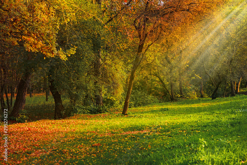 Autumn Park in October in the light of the setting sun. Park Atazhukinsky in the city of Nalchik  Russia.