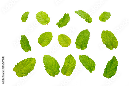 Mint leaves isolated on white