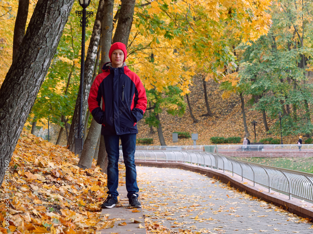 Fototapeta premium Beautiful cheerful teenager in autumn yellow park
