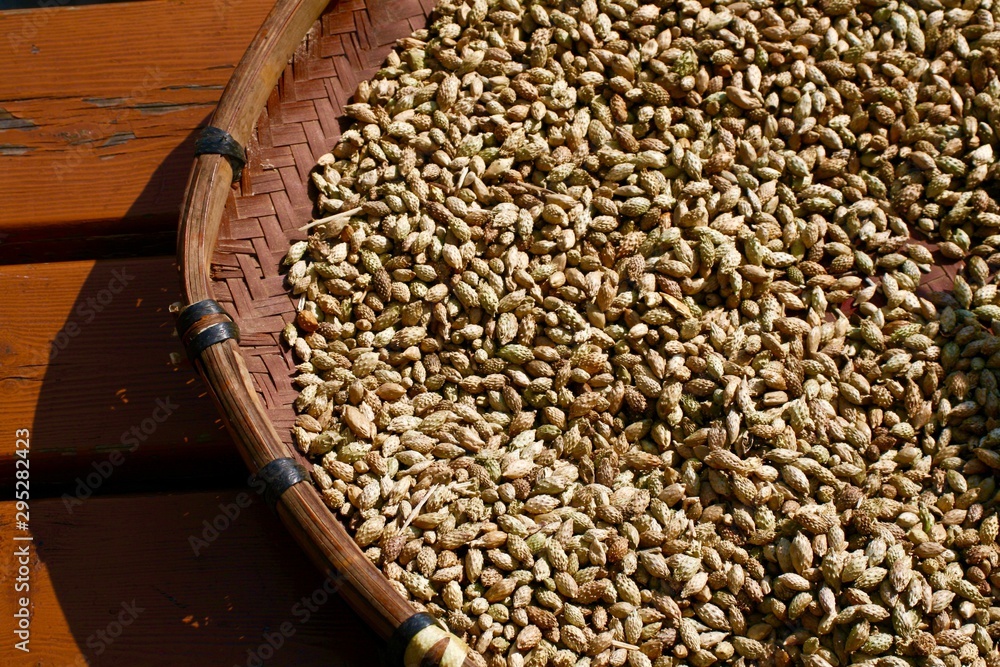 Obraz premium grain_asia