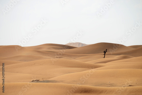 Hatta Sand Dunes, UAE