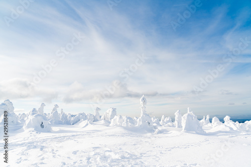 Fototapeta Naklejka Na Ścianę i Meble -  Strange frozen trees as figures in Sudety mountain in Poland on winter.