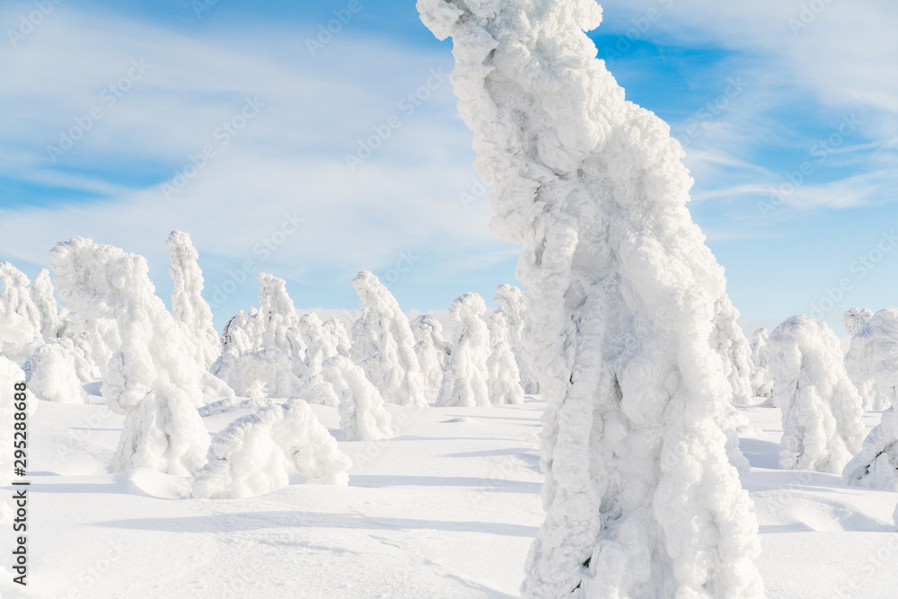 Strange frozen trees as figures in Sudety mountain in Poland on winter. Strange frozen trees as figures in Sudety mountain in Poland on winter.