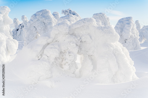 Strange frozen trees as figures in Sudety mountain in Poland on winter.