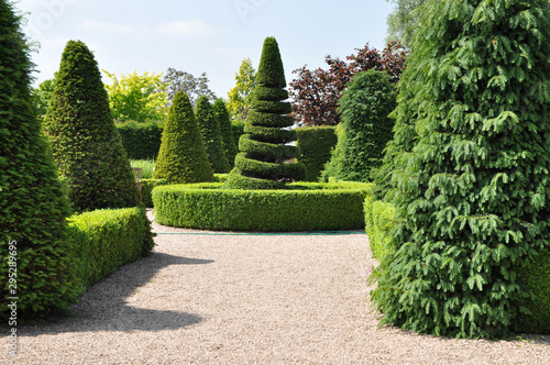 Topiary hedges and spiral tree in formal English garden photo