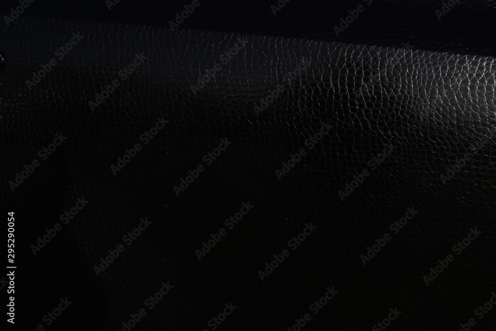 Detailed skin of a reptile. The body of the car under the film of snake skin. Detailed skin of a reptile. The body of the car under the film of snake skin.