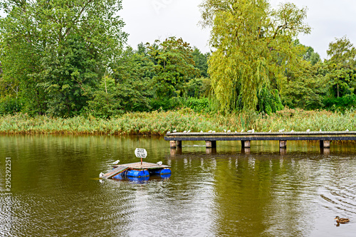 Pond with a wooden footbridge and a wooden island for ducks on a rainy day in Bansin on the island Usedom, Germany.