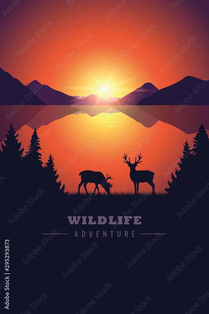 elk in the wilderness wildlife adventure by the lake at sunset vector illustration EPS10 elk in the wilderness wildlife adventure by the lake at sunset vector illustration EPS10