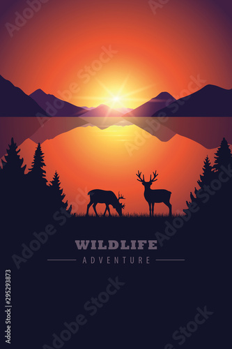 elk in the wilderness wildlife adventure by the lake at sunset vector illustration EPS10