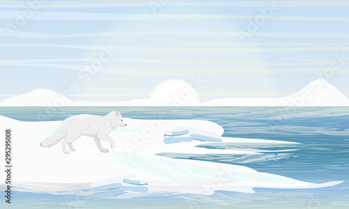 Arctic fox stands on the shore of a freezing lake in winter. Arctic animal. Vulpes lagopus, white, polar or snow fox. Realistic vector landscape
