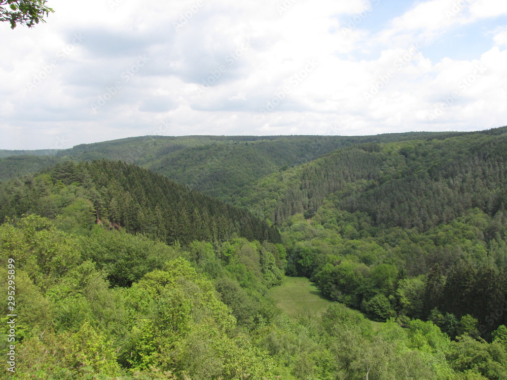 aerial view at a green forest in a valley in the belgian ardennes in springtime