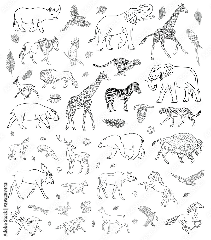 Fototapeta premium Vector hand drawn sketch set of different wild animals isolated on white background