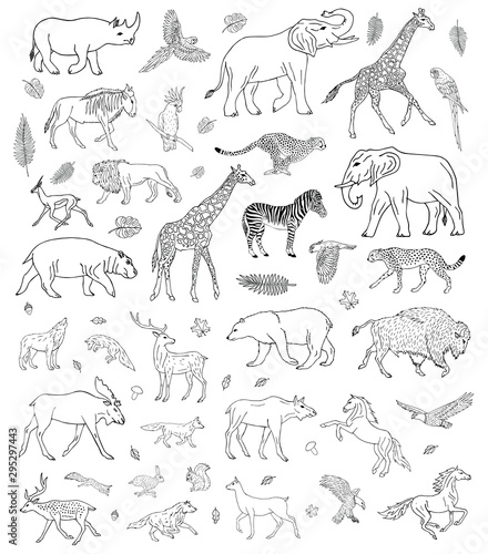 Vector hand drawn sketch set of different wild animals isolated on white background © Sweta