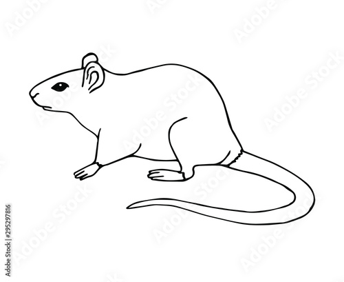 Vector hand drawn sketch rat mouse isolated on white background