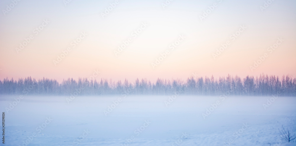 winter landscape with fog and trees