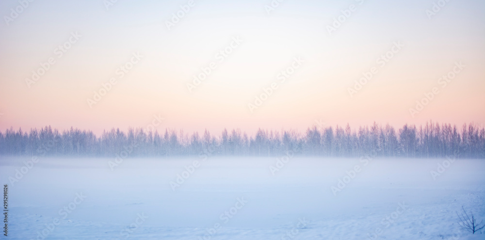 winter landscape with fog and trees winter landscape with fog and trees
