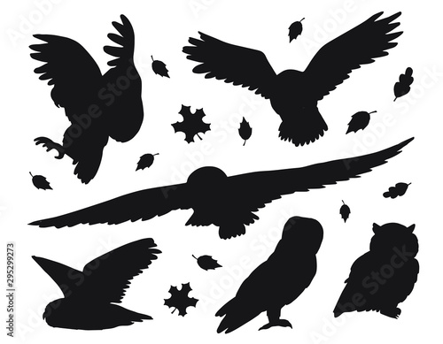 Vector flat black set bundle of owls silhouette isolated on white background