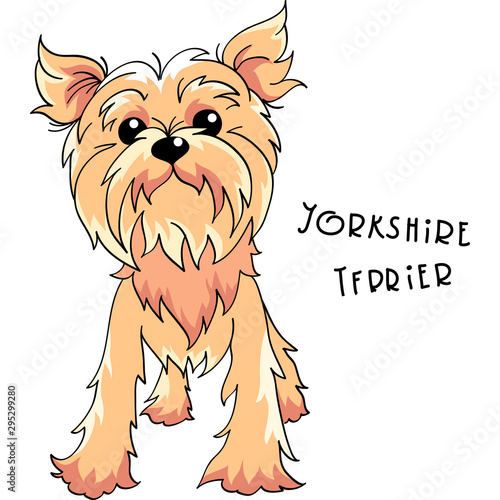 Vector Yorkshire terrier dog