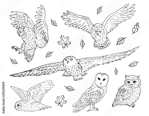 Vector hand drawn sketch set bundle of owls isolated on white background