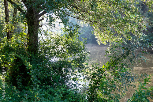 Vouga river and banks