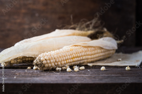 corn on the cob