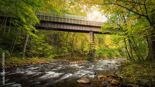 The Lockwood Gorge Bridge over the Raritan River in Califon, New Jersey photo