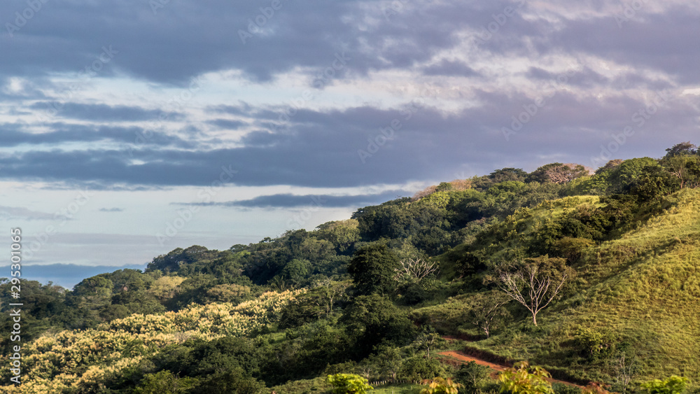 green hills at sunrise