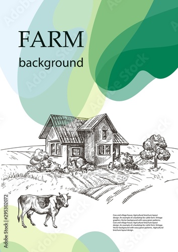 Cow and village house. Agricultural brochure layout design.