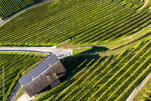 Valtellina (IT) - Vista aerea autunnale di azienda vinicola con pannelli solari photo